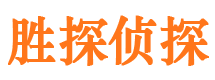 龙门侦探公司